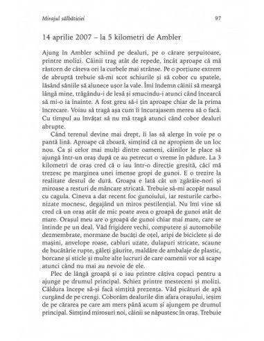 Alaska. Singur în sălbăticie