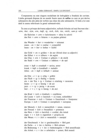 Limba germană. Simplu şi eficient