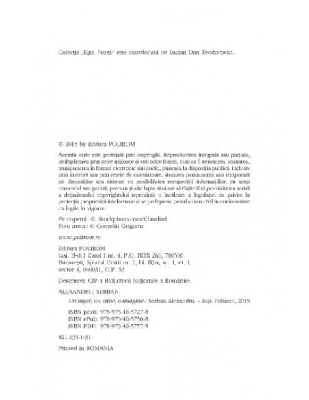 Un înger, un cîine, o imagine