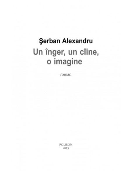 Un înger, un cîine, o imagine