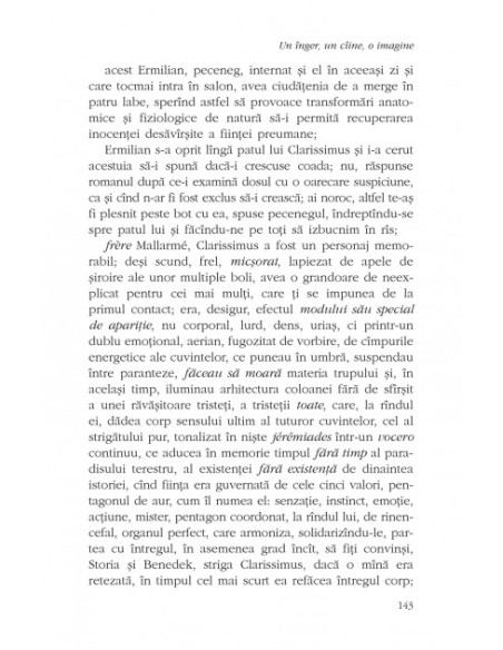 Un înger, un cîine, o imagine