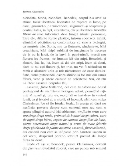 Un înger, un cîine, o imagine