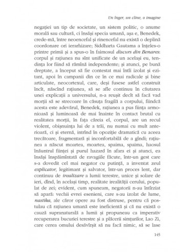 Un înger, un cîine, o imagine