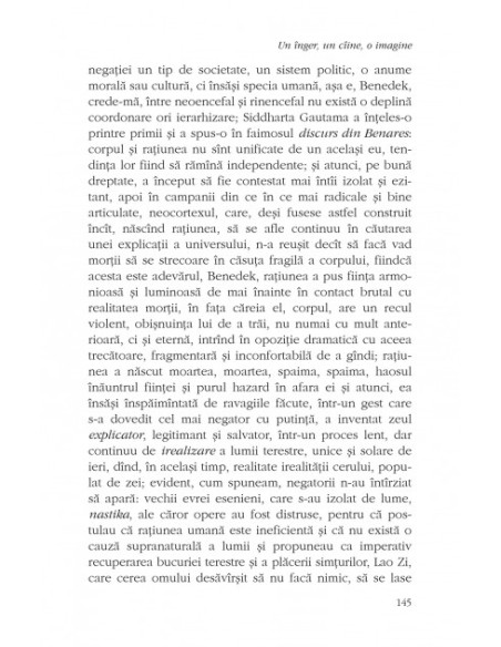 Un înger, un cîine, o imagine