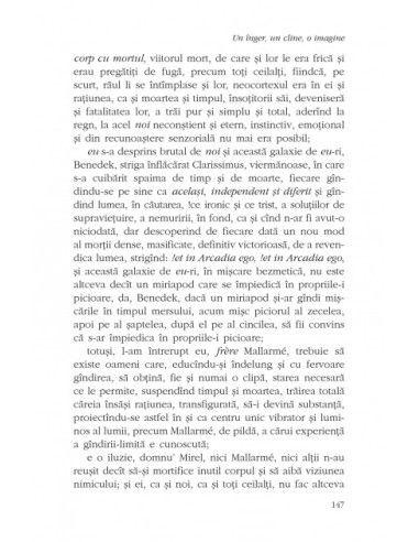 Un înger, un cîine, o imagine