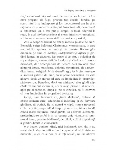 Un înger, un cîine, o imagine