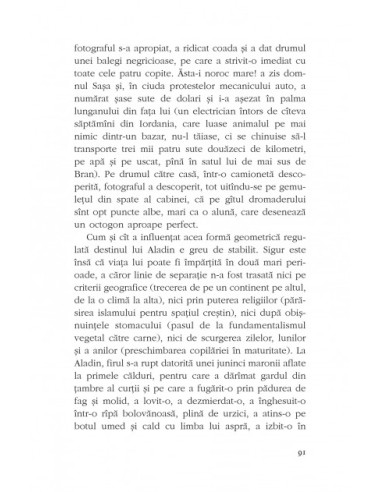 Degete mici