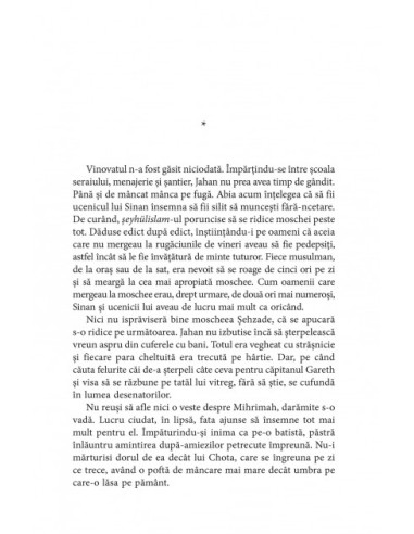 Ucenicul arhitectului