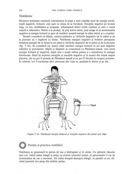 Tao. Lumina care vindecă