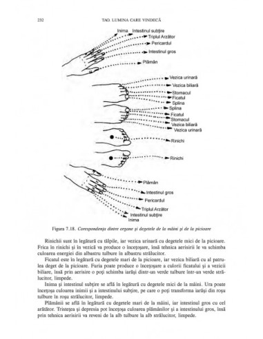 Tao. Lumina care vindecă