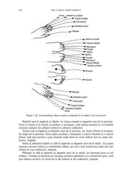 Tao. Lumina care vindecă
