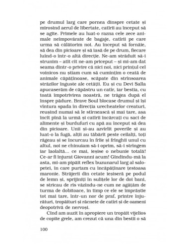 Fairia - o lume îndepărtată Fairia - o lume îndepărtată