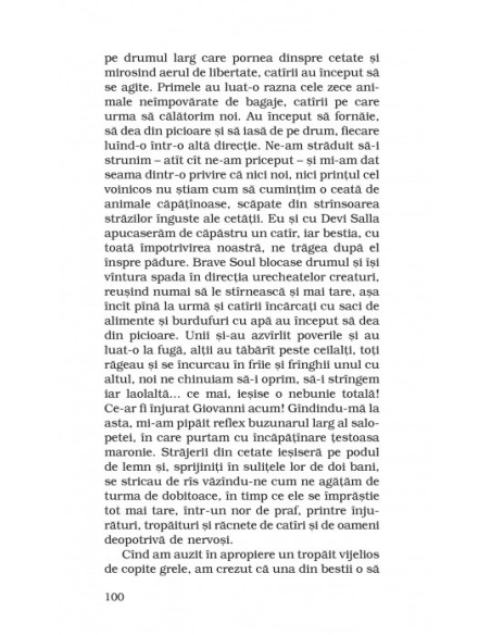 Fairia - o lume îndepărtată