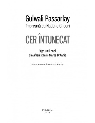 Cer întunecat Cer întunecat