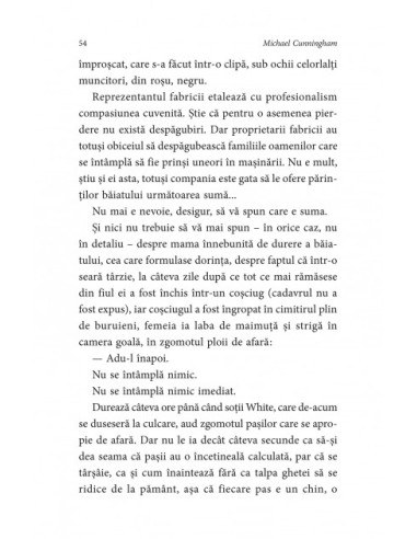 O lebădă sălbatică şi alte poveşti