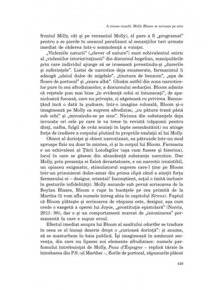 Ulysses, 732. Romanul romanului