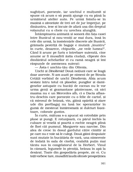 Vârstele jocului. Strada Cetăţii (ediţie de buzunar)