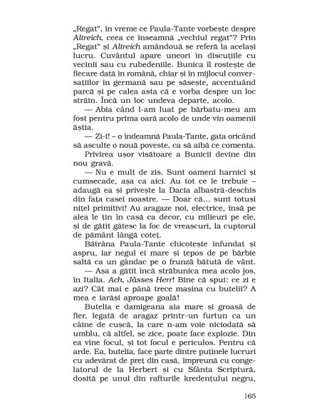 Vârstele jocului. Strada Cetăţii (ediţie de buzunar)