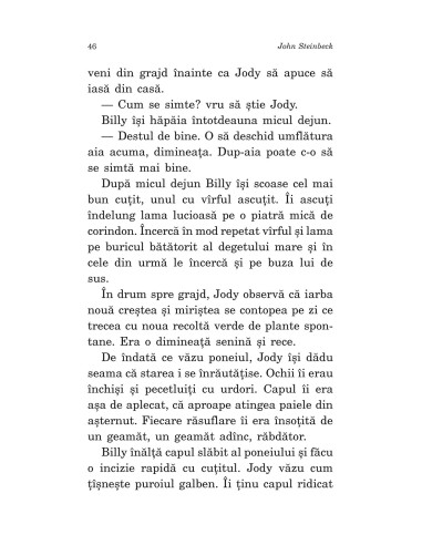 Poneiul roşu Poneiul roşu