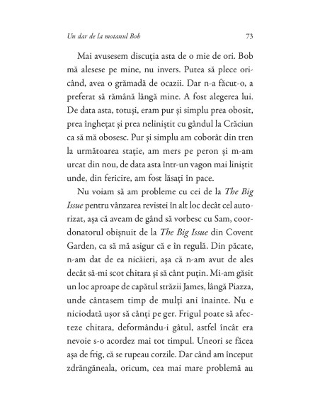 Un dar de la motanul Bob