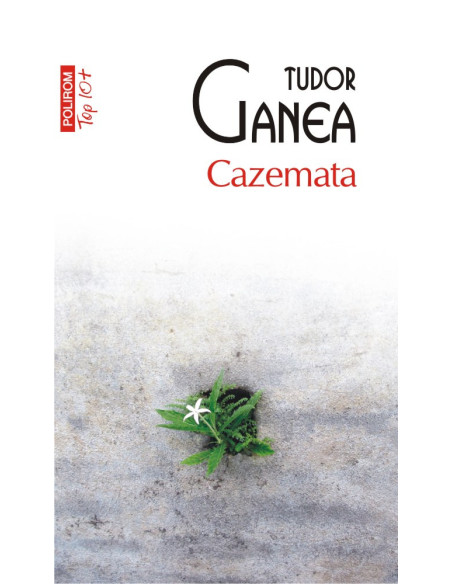 Cazemata