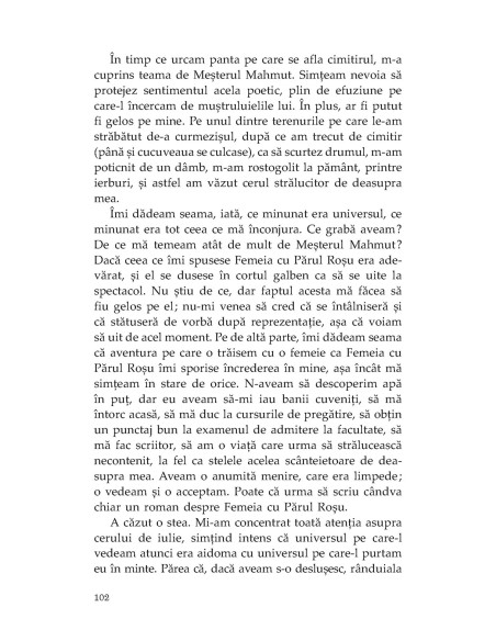 Femeia cu Părul Roşu