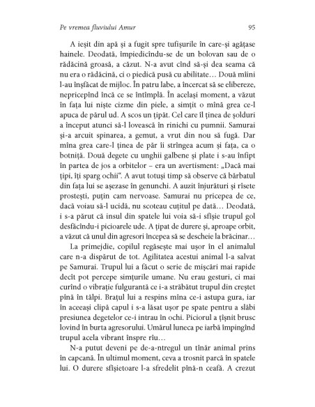 Pe vremea fluviului Amur