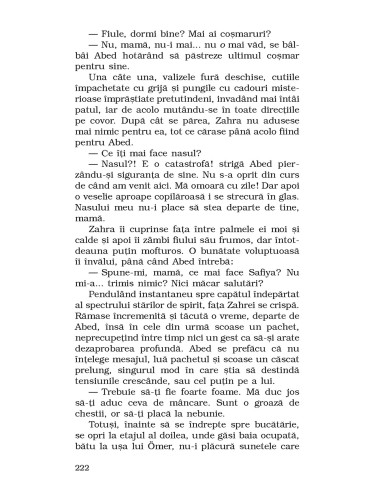 Sfântul nebuniilor incipiente Sfântul nebuniilor incipiente