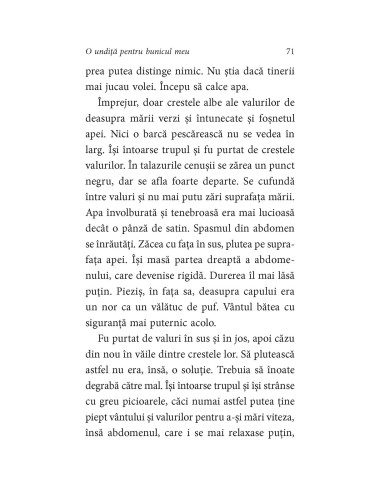 O undiţă pentru bunicul meu O undiţă pentru bunicul meu