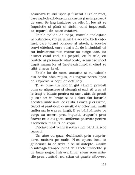 Pe frontul de vest nimic nou