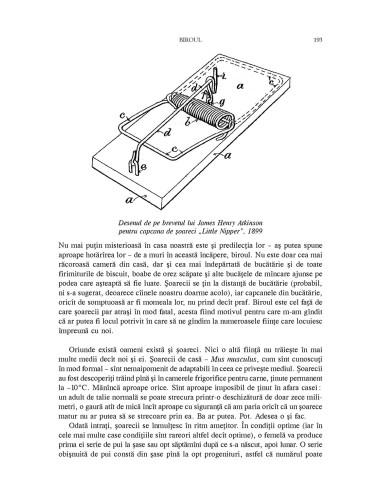 Acasă. O istorie a vieţii private