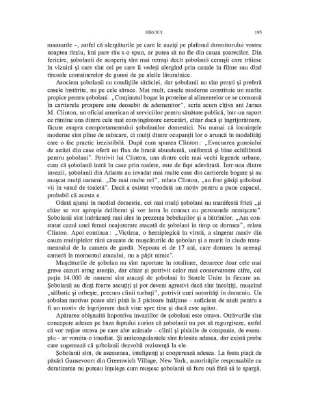 Acasă. O istorie a vieţii private