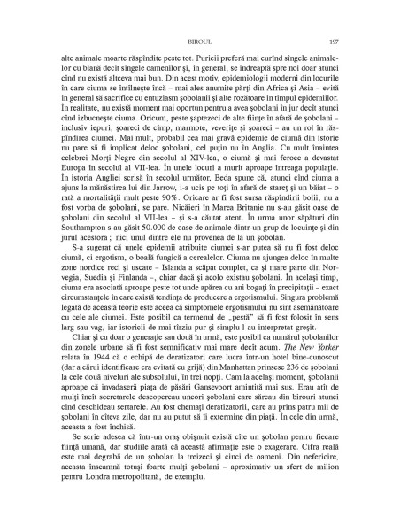 Acasă. O istorie a vieţii private