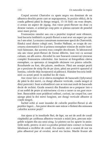 Un naturalist la tropice