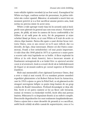 Drumul către Little Dribbling