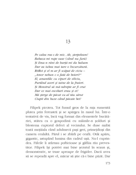 Omatidii. Șarada unui hacker