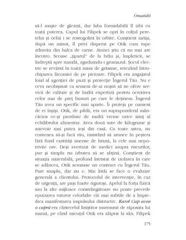 Omatidii. Șarada unui hacker