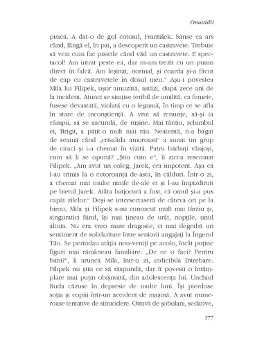 Omatidii. Șarada unui hacker