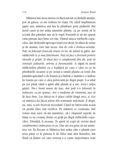 Cântec pentru cei neîngropaţi Cântec pentru cei neîngropaţi