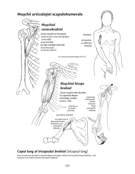 Anatomie pentru mişcare