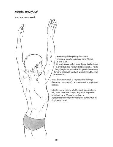 Anatomie pentru mişcare Anatomie pentru mişcare
