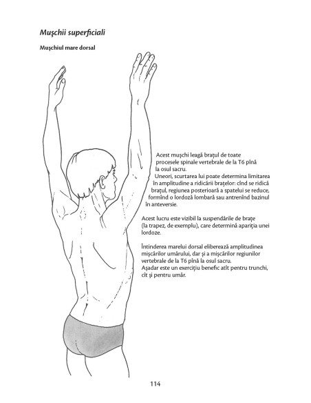 Anatomie pentru mişcare