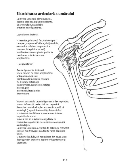 Anatomie pentru mişcare