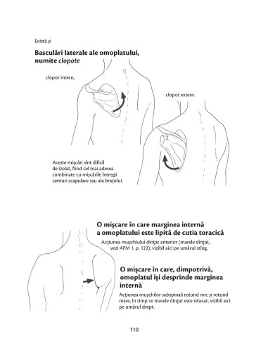 Anatomie pentru mişcare Anatomie pentru mişcare