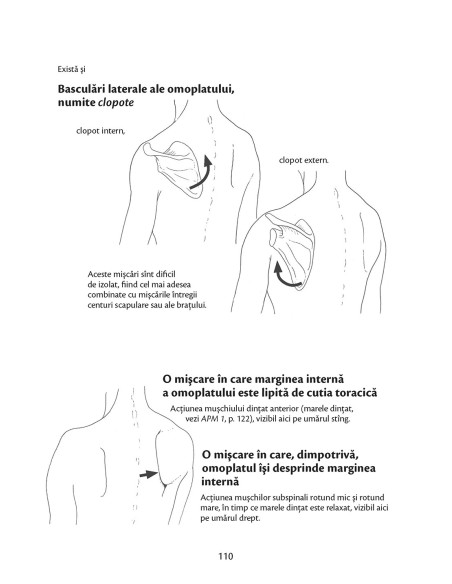 Anatomie pentru mişcare