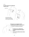 Anatomie pentru mişcare