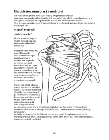 Anatomie pentru mişcare Anatomie pentru mişcare