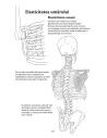 Anatomie pentru mişcare