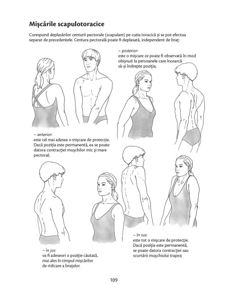Anatomie pentru mişcare