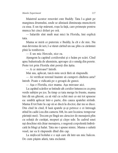 Marele Experiment Marele Experiment